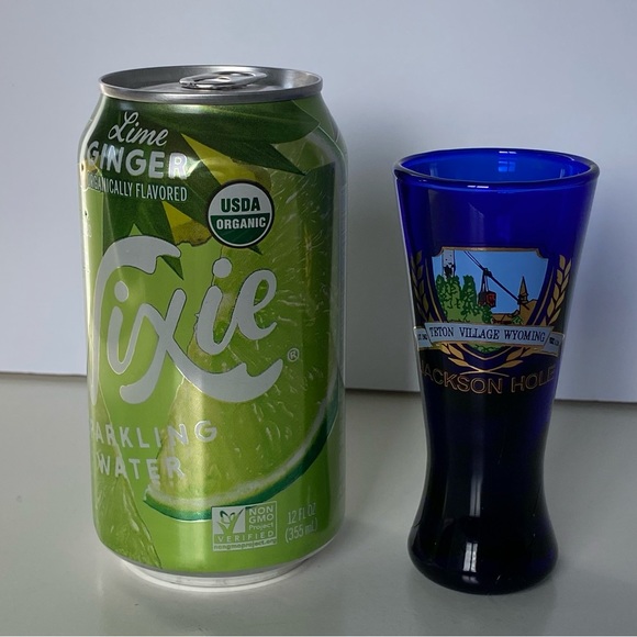 Jackson Hole Shot Glass Wyoming WY Cobalt Blue Shot Glass Teton Village Gondola - Picture 4 of 13